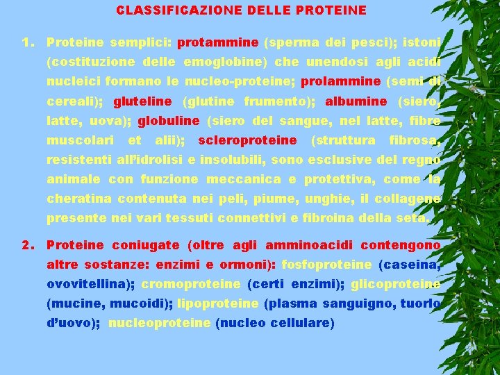 CLASSIFICAZIONE DELLE PROTEINE 1. Proteine semplici: protammine (sperma dei pesci); istoni (costituzione delle emoglobine)