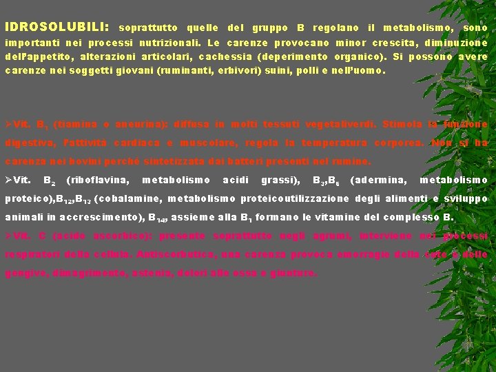 IDROSOLUBILI: soprattutto quelle del gruppo B regolano il metabolismo, sono importanti nei processi nutrizionali.