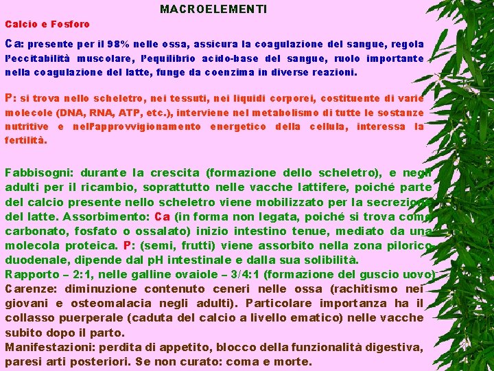 MACROELEMENTI Calcio e Fosforo Ca: presente per il 98% nelle ossa, assicura la coagulazione