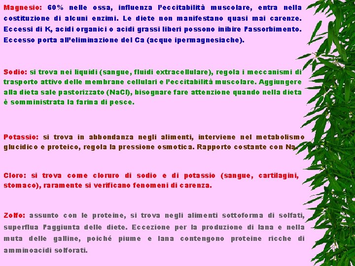 Magnesio: 60% nelle ossa, influenza l’eccitabilità muscolare, entra nella costituzione di alcuni enzimi. Le