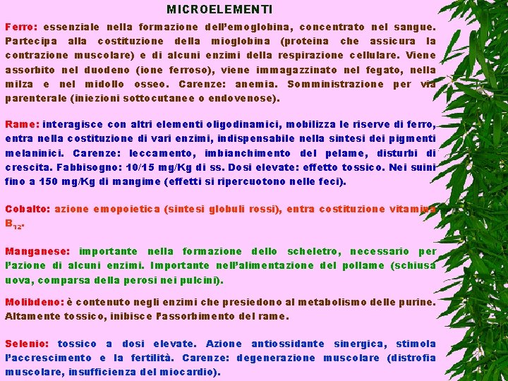 MICROELEMENTI Ferro: essenziale nella formazione dell’emoglobina, concentrato nel sangue. Partecipa alla costituzione della mioglobina