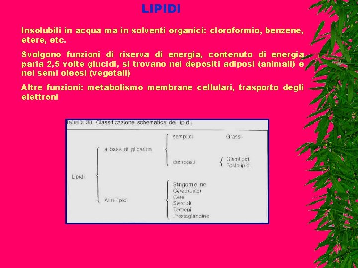 LIPIDI Insolubili in acqua ma in solventi organici: cloroformio, benzene, etere, etc. Svolgono funzioni