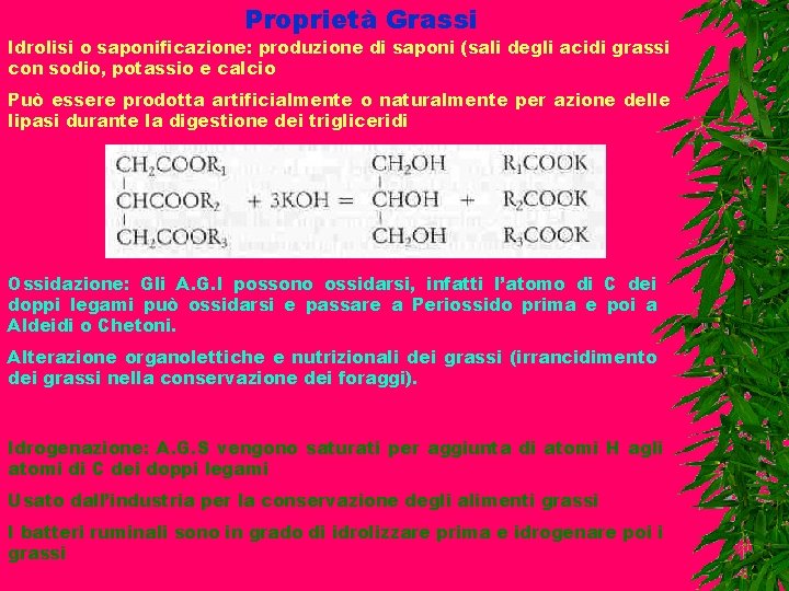 Proprietà Grassi Idrolisi o saponificazione: produzione di saponi (sali degli acidi grassi con sodio,