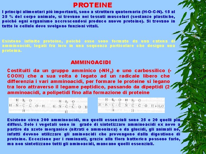 PROTEINE I principi alimentari più importanti, sono a struttura quaternaria (H-O-C-N). 15 al 25