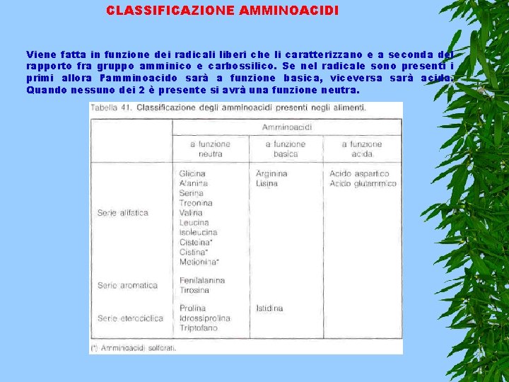 CLASSIFICAZIONE AMMINOACIDI Viene fatta in funzione dei radicali liberi che li caratterizzano e a