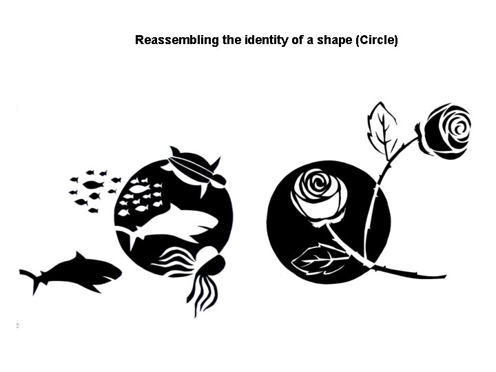 Reassembling the identity of a shape (Circle) 
