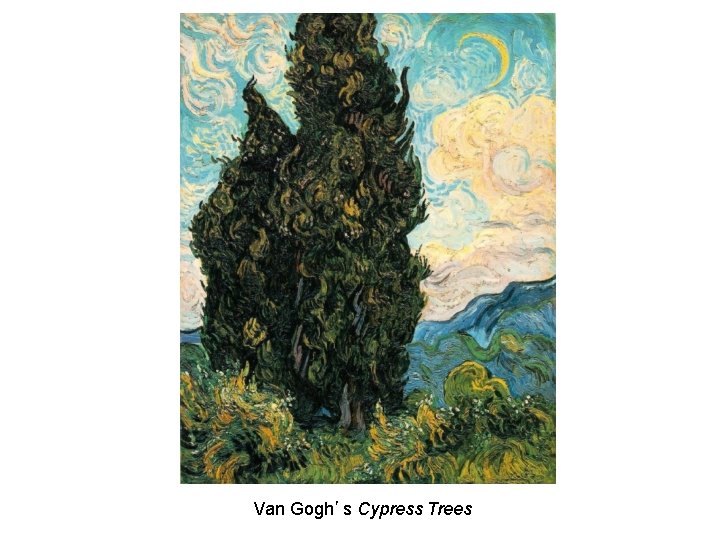 Van Gogh’s Cypress Trees 