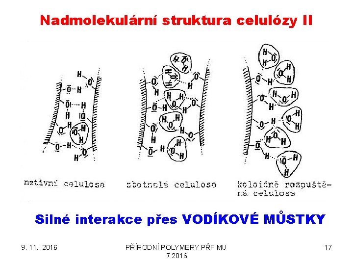 Nadmolekulární struktura celulózy II Silné interakce přes VODÍKOVÉ MŮSTKY 9. 11. 2016 PŘÍRODNÍ POLYMERY
