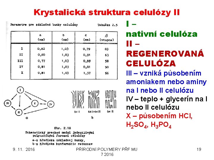 Krystalická struktura celulózy II I– nativní celulóza II – REGENEROVANÁ CELULÓZA III – vzniká