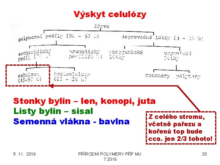 Výskyt celulózy Stonky bylin – len, konopí, juta Listy bylin – sisal Z celého