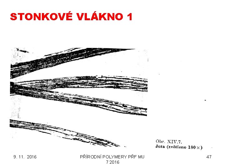 STONKOVÉ VLÁKNO 1 9. 11. 2016 PŘÍRODNÍ POLYMERY PŘF MU 7 2016 47 