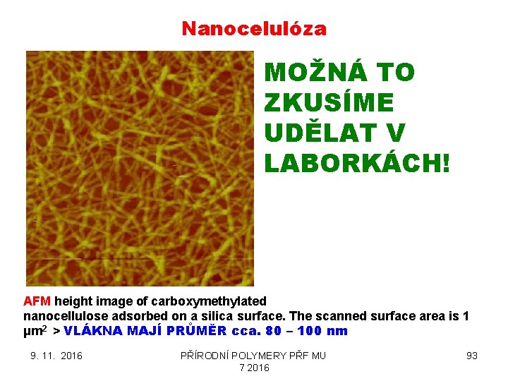 Nanocelulóza MOŽNÁ TO ZKUSÍME UDĚLAT V LABORKÁCH! AFM height image of carboxymethylated nanocellulose adsorbed