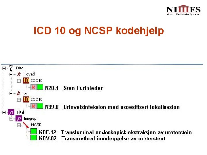 ICD 10 og NCSP kodehjelp 