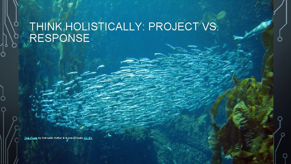 THINK HOLISTICALLY: PROJECT VS. RESPONSE This Photo by Unknown Author is licensed under CC