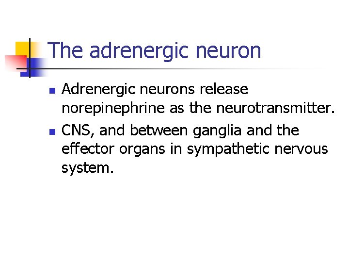 The adrenergic neuron n n Adrenergic neurons release norepinephrine as the neurotransmitter. CNS, and