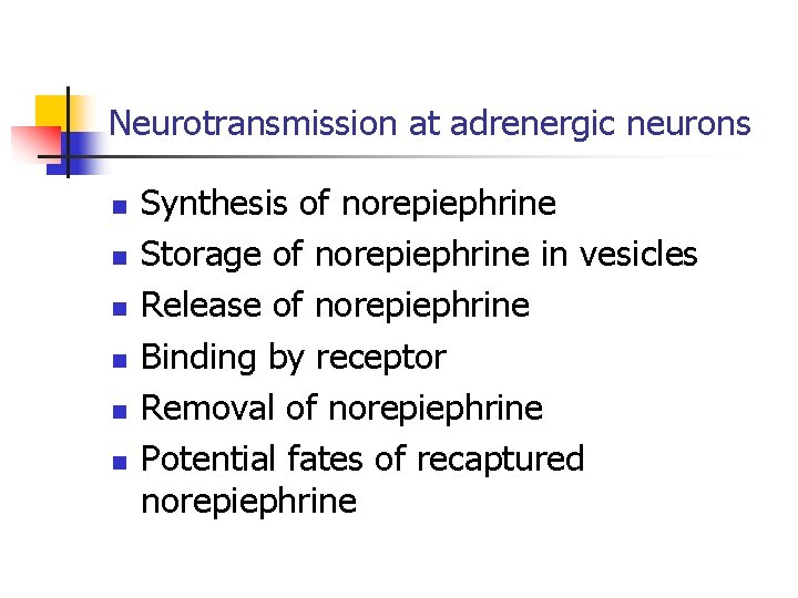 Neurotransmission at adrenergic neurons n n n Synthesis of norepiephrine Storage of norepiephrine in