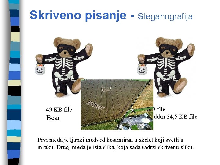 Skriveno pisanje - Steganografija 49 KB file Bear 108 KB file with hidden 34,