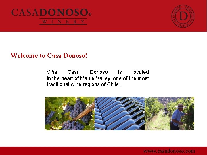 Welcome to Casa Donoso! Viña Casa Donoso is located in the heart of Maule