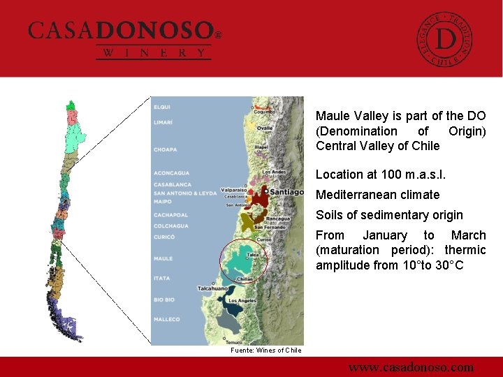 Maule Valley is part of the DO (Denomination of Origin) Central Valley of Chile