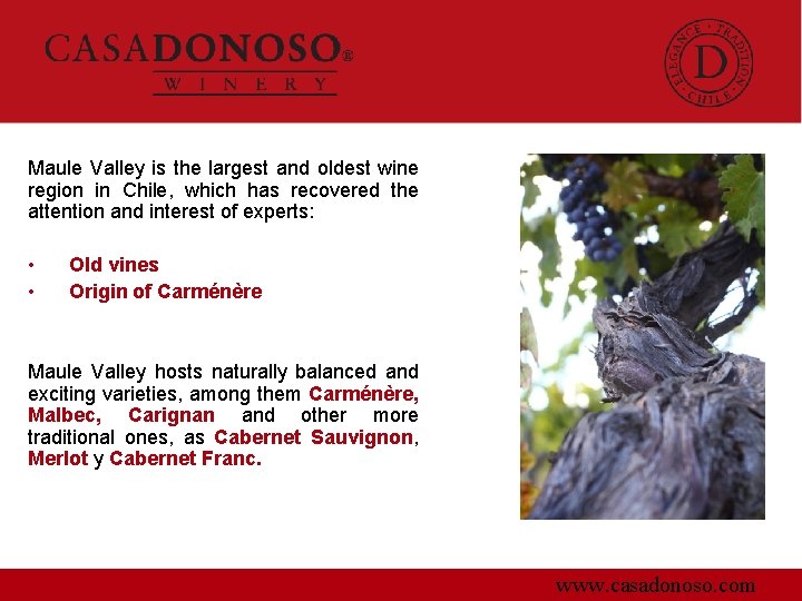 Maule Valley is the largest and oldest wine region in Chile, which has recovered