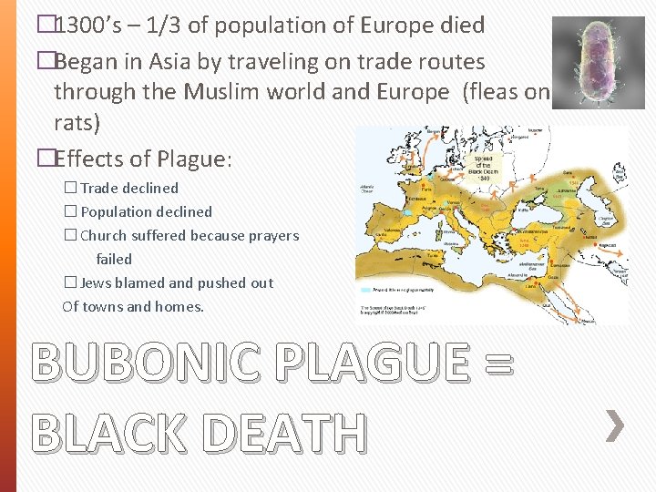 � 1300’s – 1/3 of population of Europe died �Began in Asia by traveling