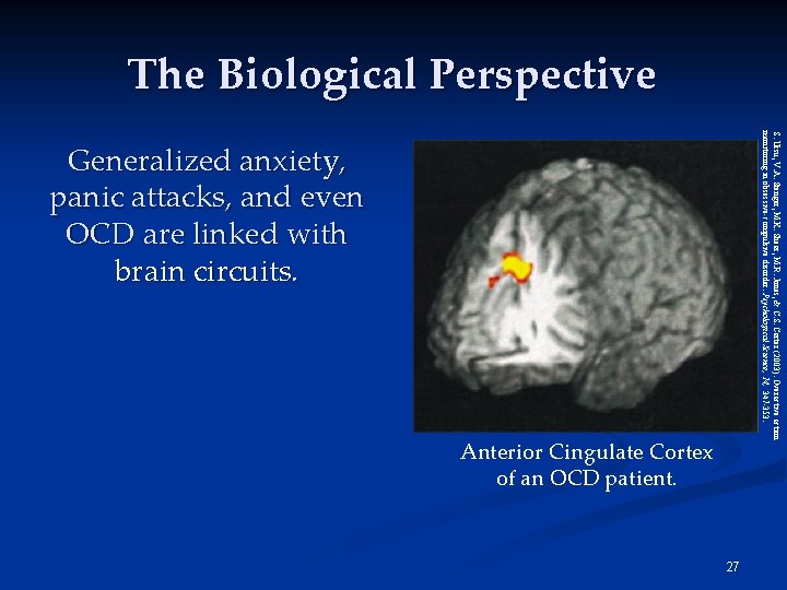 The Biological Perspective S. Ursu, V. A. Stenger, M. K. Shear, M. R. Jones,