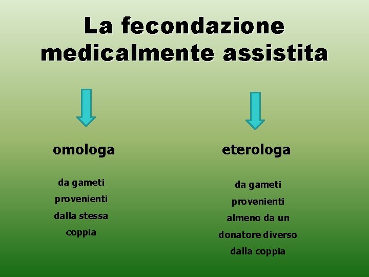 La fecondazione medicalmente assistita omologa eterologa da gameti provenienti dalla stessa almeno da un