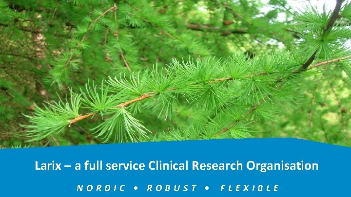 Larix – a full service Clinical Research Organisation NORDIC • ROBUST • FLEXIBLE 