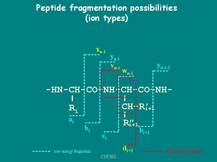 Peptide fragmentation possibilities (ion types) xn-i yn-i vn-i yn-i-1 wn-i zn-i -HN-CH-CO-NHRi CH-R’ i+1