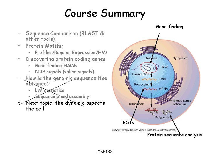 Course Summary • • Sequence Comparison (BLAST & other tools) Protein Motifs: • Discovering