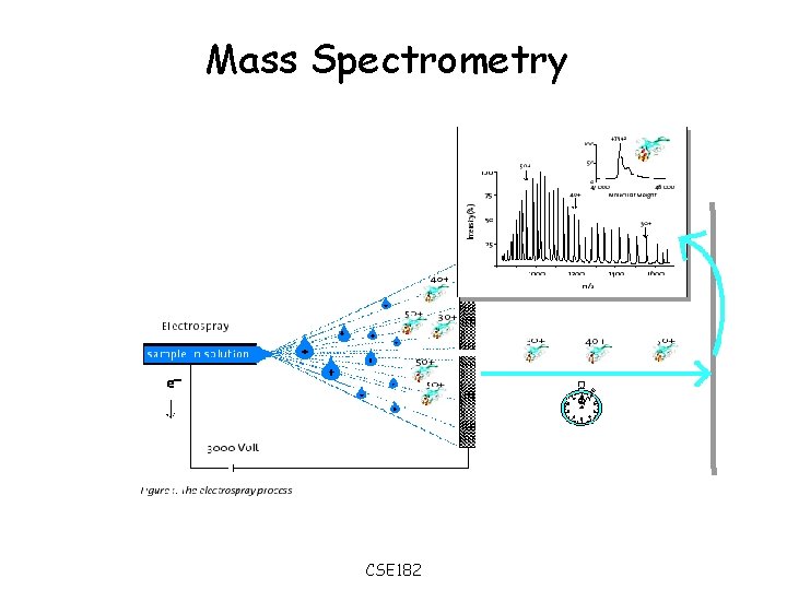 Mass Spectrometry CSE 182 