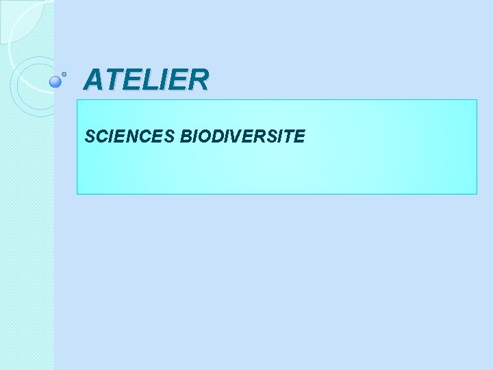 ATELIER SCIENCES BIODIVERSITE 
