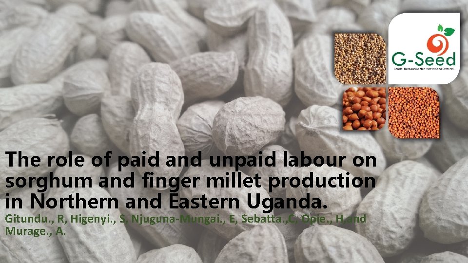 The role of paid and unpaid labour on sorghum and finger millet production in