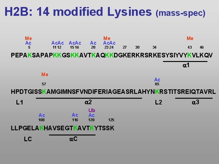 H 2 B: 14 modified Lysines (mass-spec) Me Ac Ac. Ac 5 11 12
