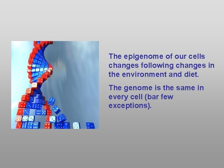 The epigenome of our cells changes following changes in the environment and diet. The