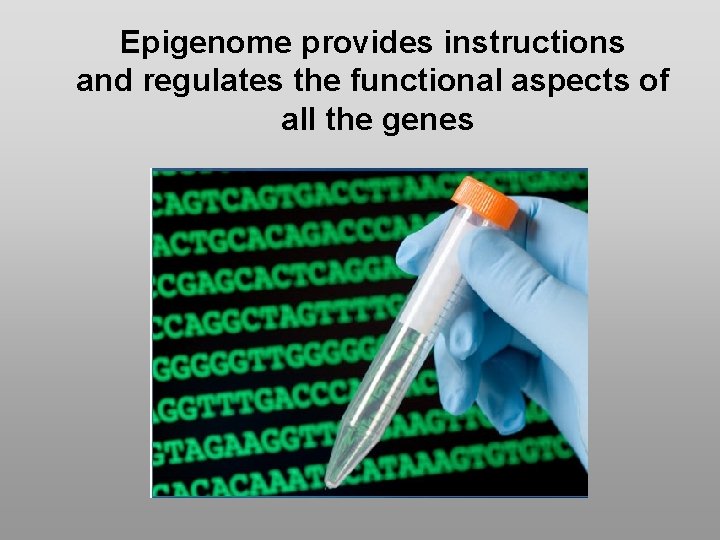 Epigenome provides instructions and regulates the functional aspects of all the genes 