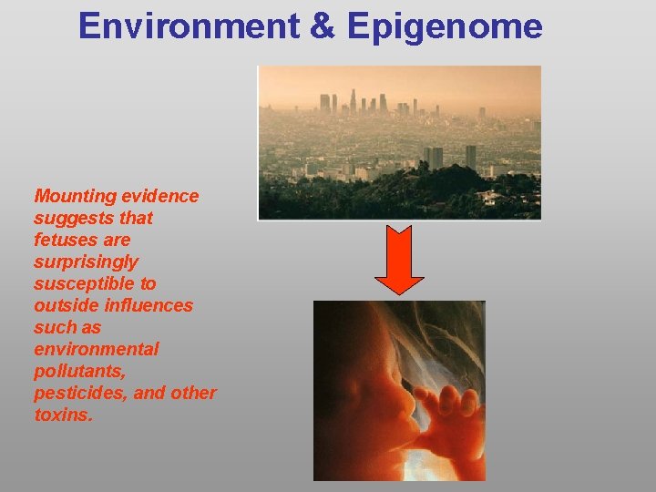 Environment & Epigenome Mounting evidence suggests that fetuses are surprisingly susceptible to outside influences