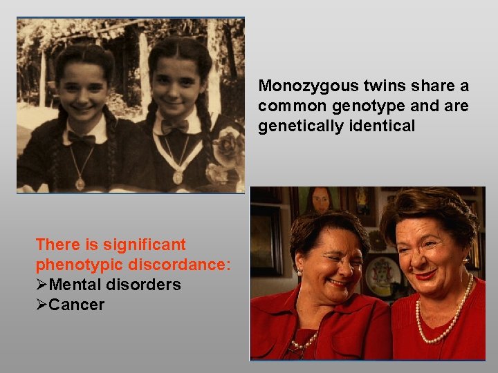 Monozygous twins share a common genotype and are genetically identical There is significant phenotypic