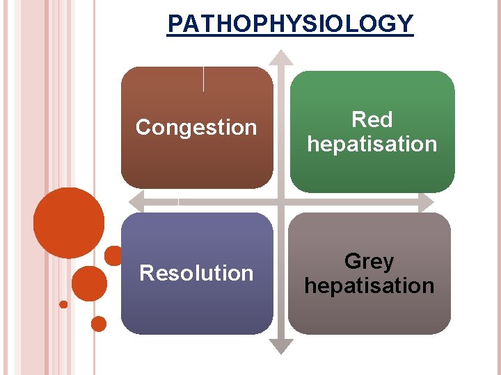 PATHOPHYSIOLOGY Congestion Red hepatisation Resolution Grey hepatisation 