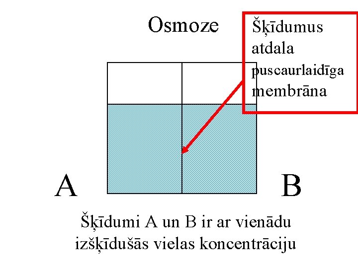 Osmoze Šķīdumus atdala puscaurlaidīga membrāna A B Šķīdumi A un B ir ar vienādu