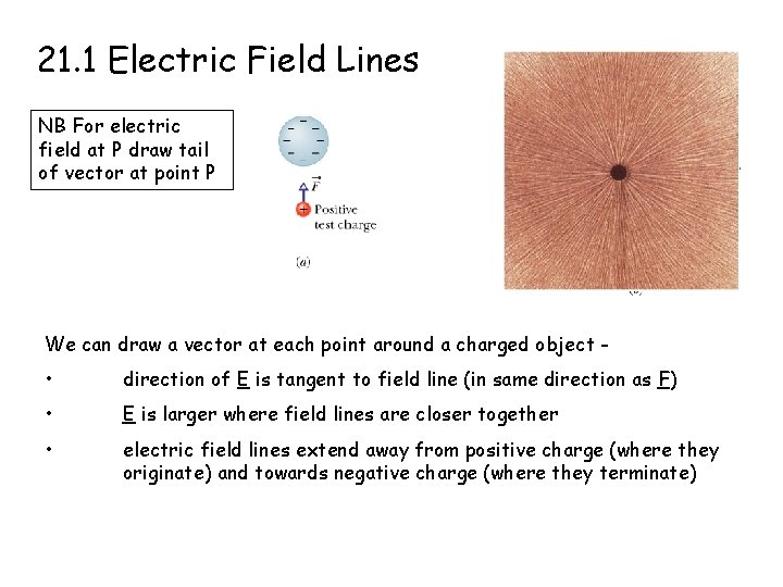 21. 1 Electric Field Lines NB For electric field at P draw tail of