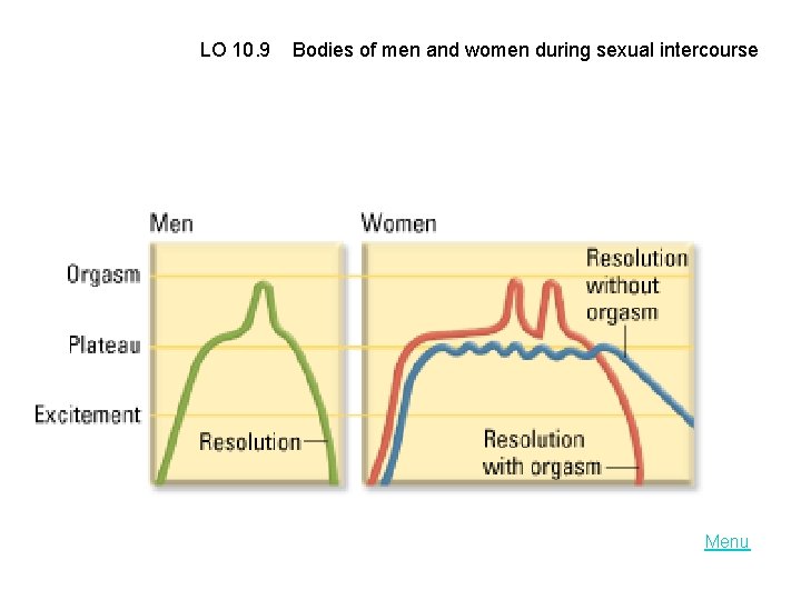 LO 10. 9 Bodies of men and women during sexual intercourse Menu 