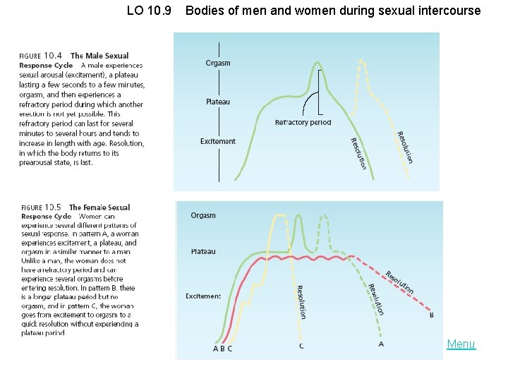 LO 10. 9 Bodies of men and women during sexual intercourse Menu 