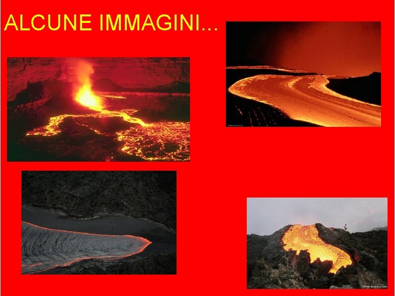 ALCUNE IMMAGINI. . . ALCUNE IMMAGINI. . .
