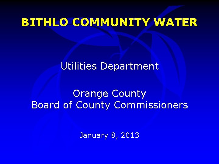 BITHLO COMMUNITY WATER Utilities Department Orange County Board of County Commissioners January 8, 2013