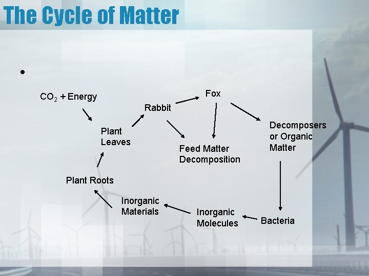 The Cycle of Matter • Fox CO 2 + Energy Rabbit Plant Leaves Feed