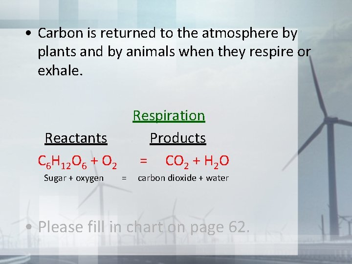  • Carbon is returned to the atmosphere by plants and by animals when