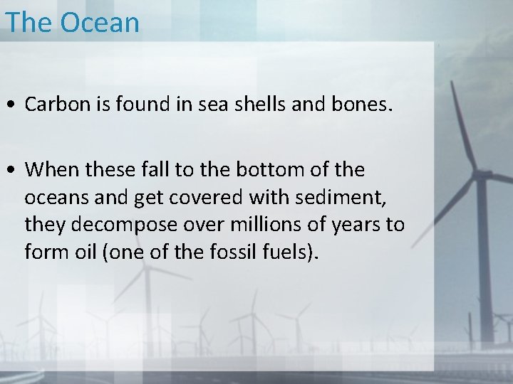 The Ocean • Carbon is found in sea shells and bones. • When these