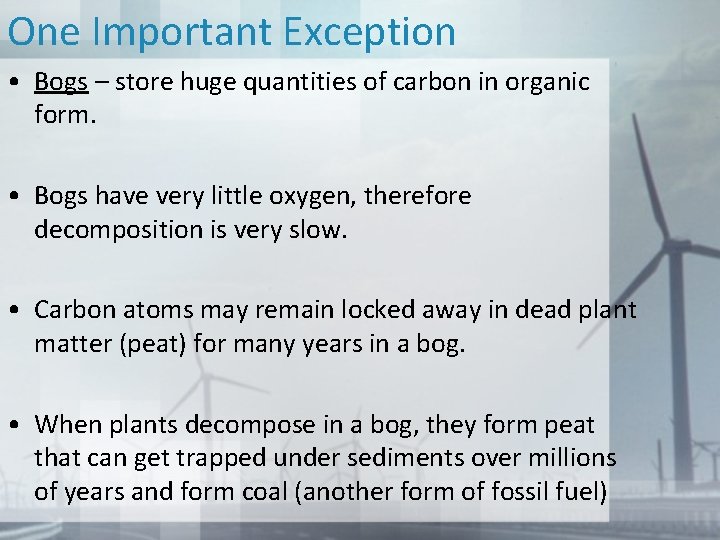 One Important Exception • Bogs – store huge quantities of carbon in organic form.