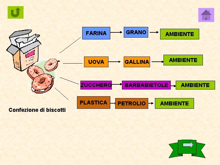 FARINA GRANO UOVA GALLINA ZUCCHERO PLASTICA Confezione di biscotti AMBIENTE BARBABIETOLE PETROLIO AMBIENTE 